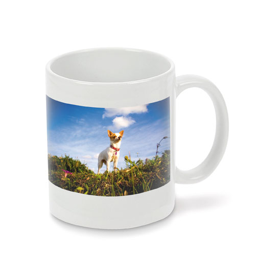 bekers, bedrukte beker, relatiegeschenken.